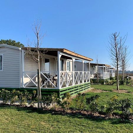 Agriturismo Nonno Mario Fossone d'Adige Eksteriør bilde